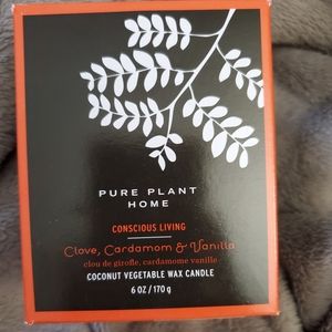 Vegan, clean burning coconut wax candle